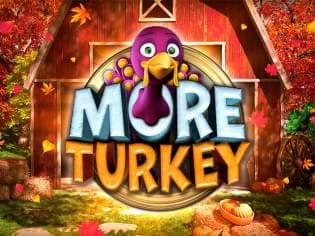 More Turkey screenshot