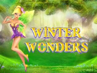 Winter Wonders screenshot