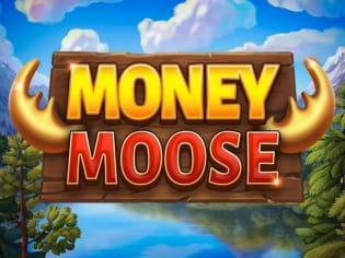 Money Moose screenshot
