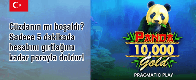 Popüler Slotlarda Bedava Dönüş promotion
